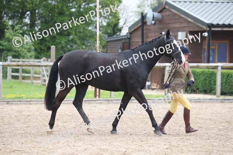 20260504-1376 - Class 8 - Cob and Hunter