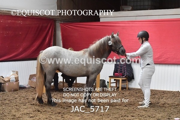 JAC_5717 - 6 Glenmuir Niamh