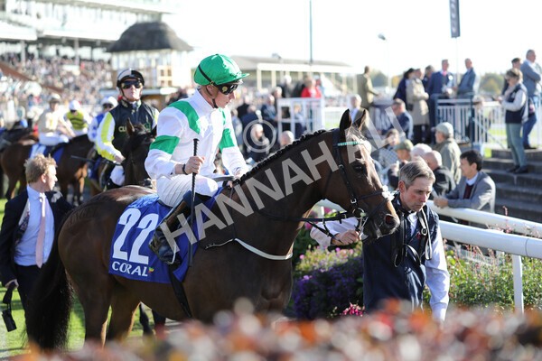 yr08102022r4-10 - Race 4 3.15pm The Coral Sprint Trophy