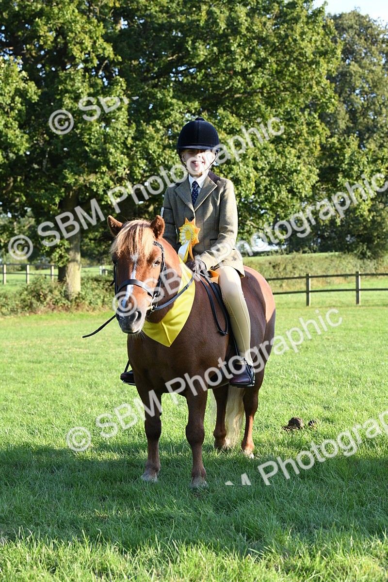 SBM_54165 - S23 - 1st Ridden Mountain & Moorland Pony