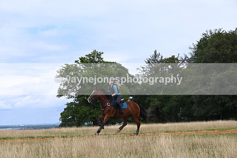 DSC_7693 - Time at Statue 13:16 to 13:52
