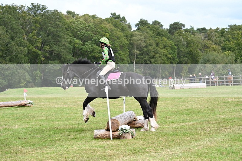 WJ7_8920 - 60cm Time 12:31 to 12:50