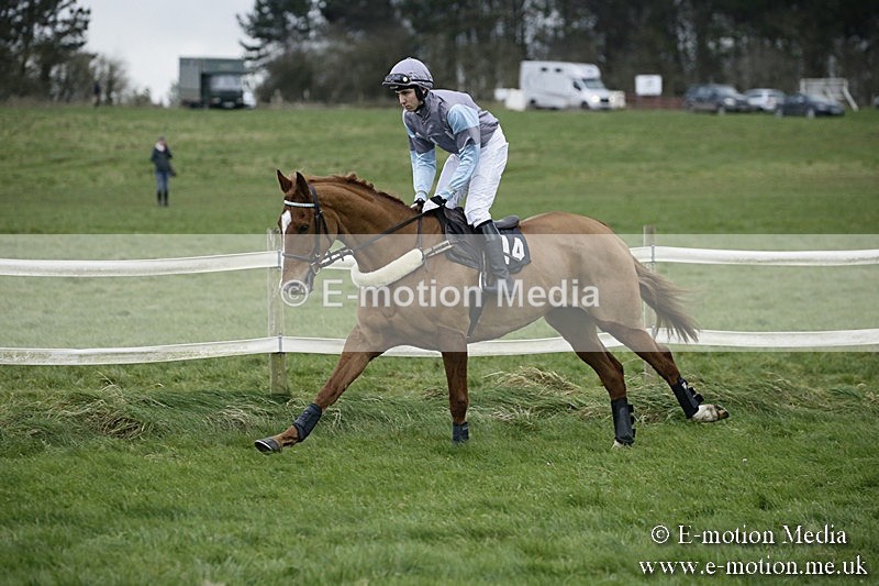PtP 031217 412 - Hursley Hambledon Point-to-Point Larkhill 03/12/17