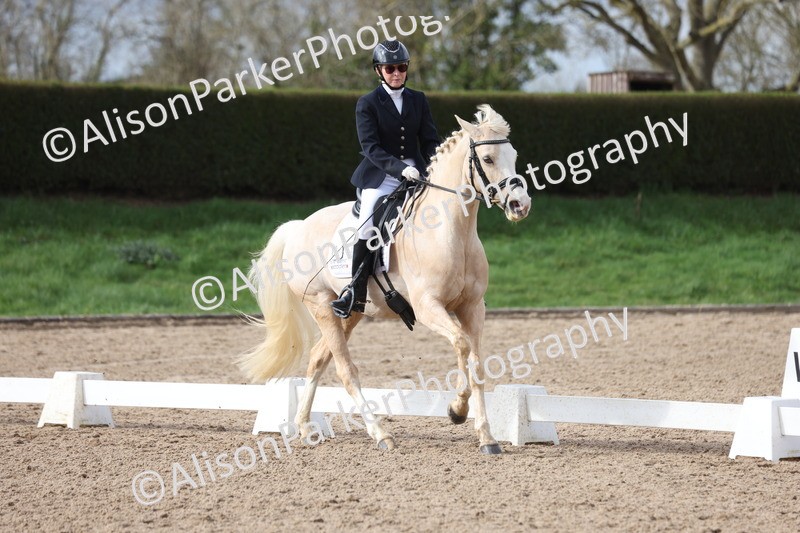 20260301-0639 - Class 4 - Novice 5