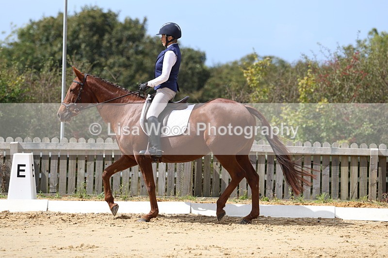 3E7A3972 - Class 9: Novice 6 Section B Championship