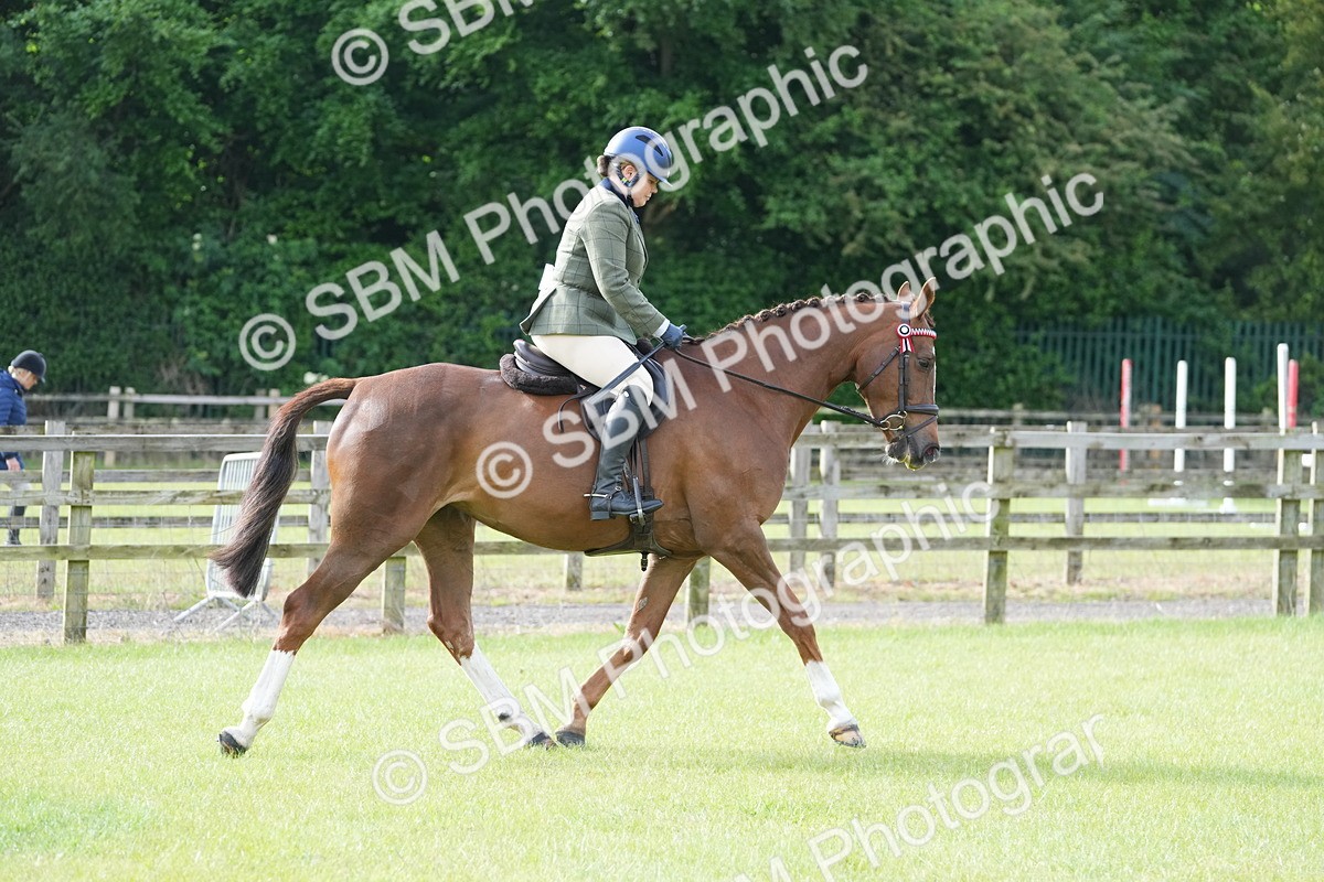 SBM_10569 - Class 97-98 - LIHS BSHA Rising Star Working Show Horse Hunter