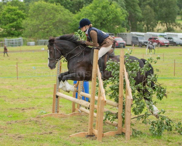 Dunblane show-389 - Dunblane and Doune Show Ring 1