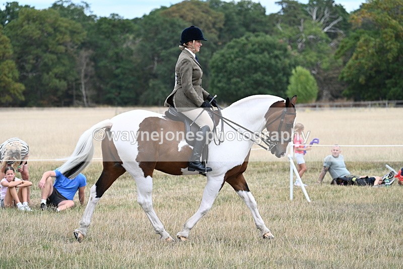 WJ7_4861 - Class 12 Ridden Cob