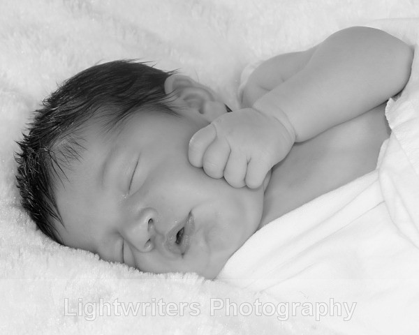 Buckle 43 - Baby Harper