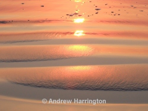 reflections 2 - Photos 1