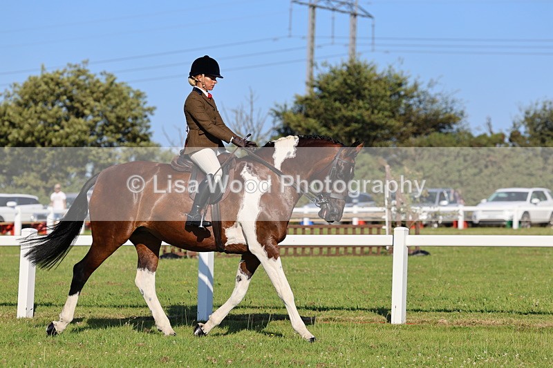 IMG_1189 - Class 27: Ridden Plaited Coloured Horse