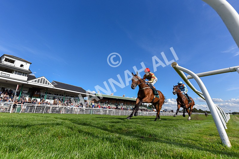 090925-Race 4-U Sure Do-1644 - Race 4