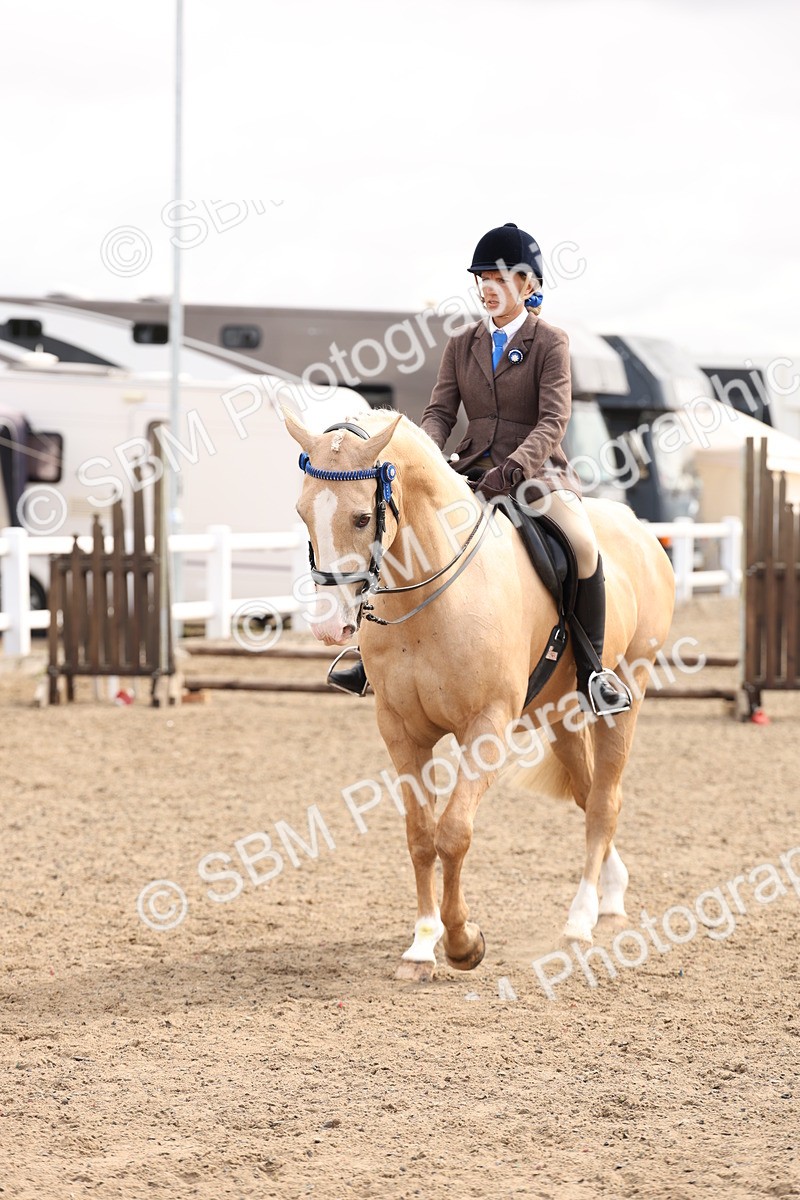 SBM_04229 - Class 54 - Riding Club Horse/Pony
