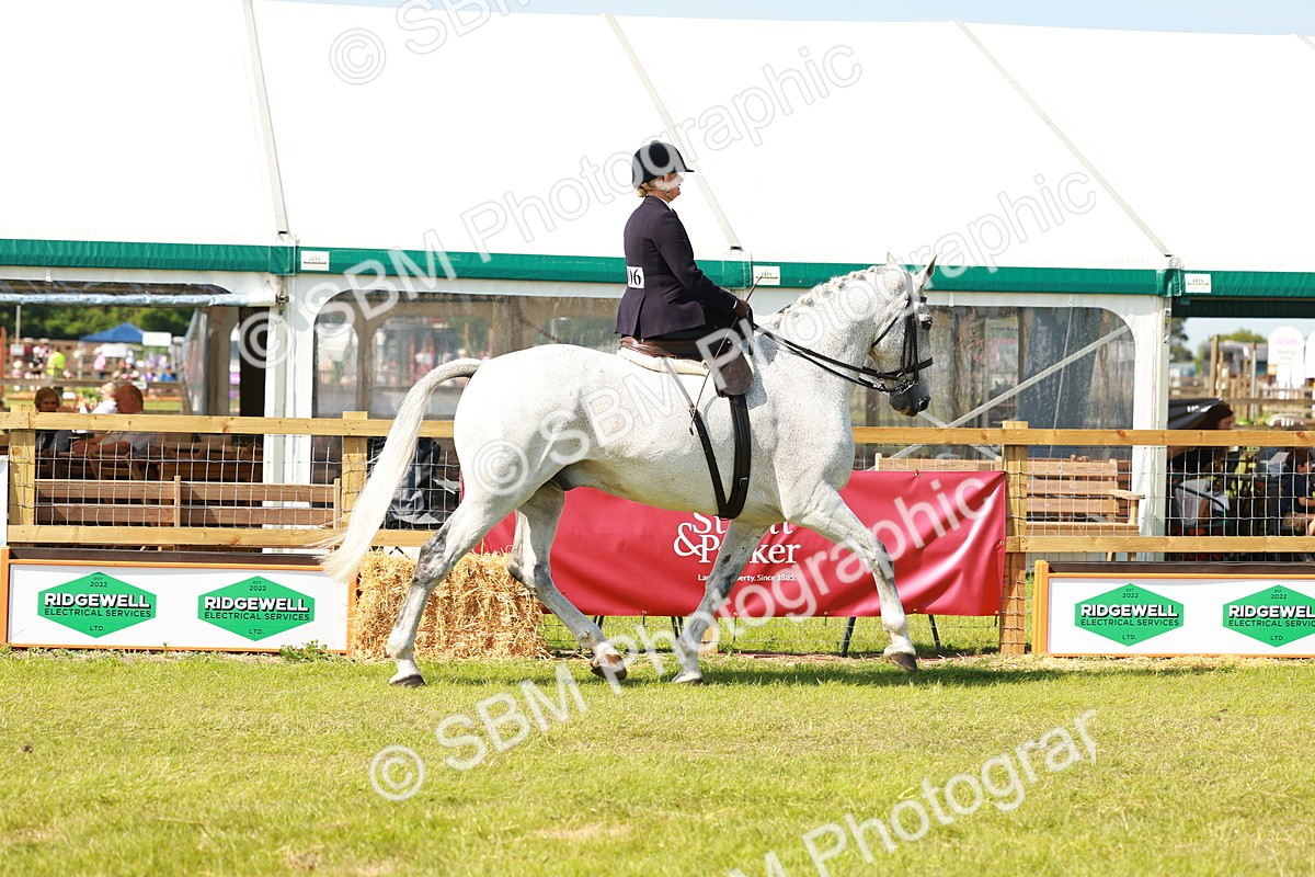 SBM_13150 - Class 70-71 - Side Saddle