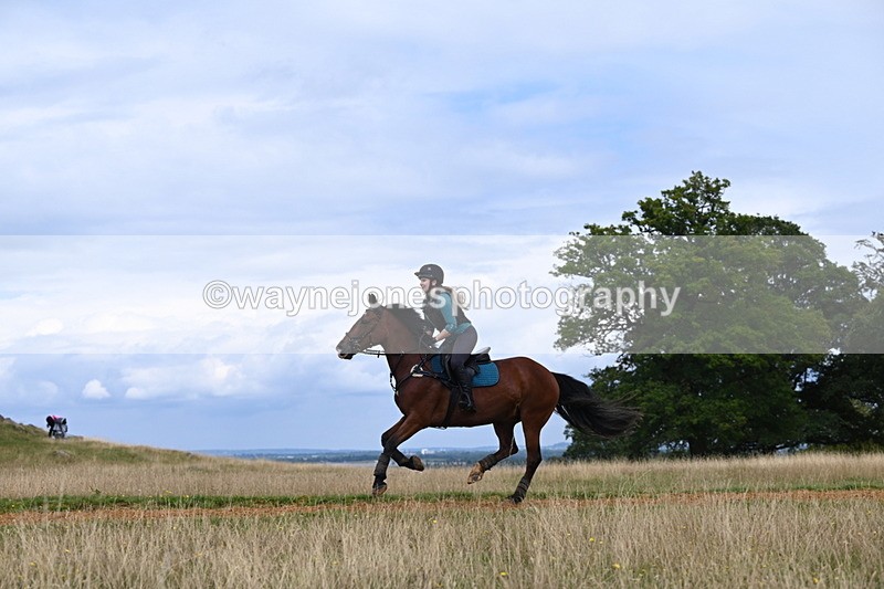 DSC_7695 - Time at Statue 13:16 to 13:52