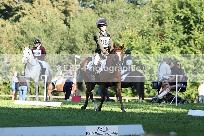 250823A-091847-25920 - Arena D