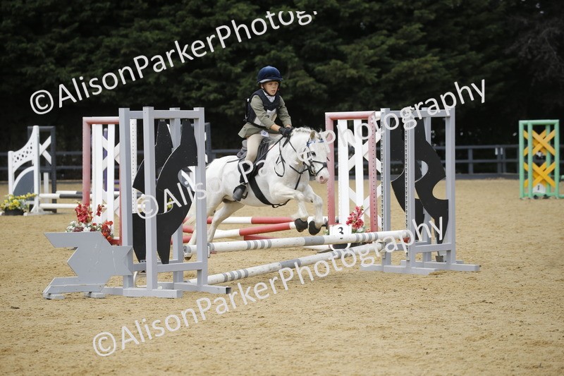 20250622-3972 - 50cm