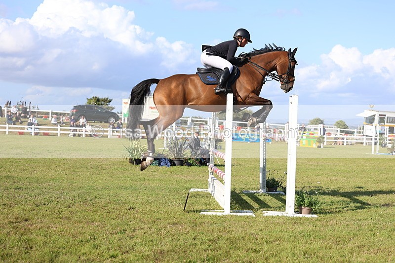 3E7A4282 - Class C: Showjumping Senior Foxhunter