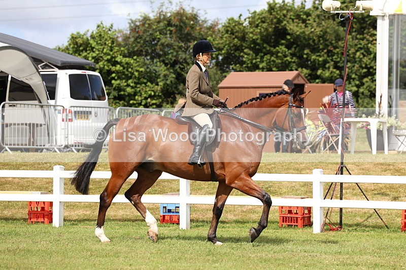 3E7A9279 - Class 4: Rising Star M/H Hunter