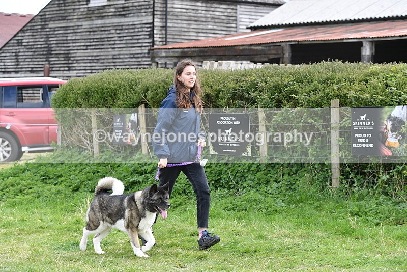 WJ5_9983 - Class 5 Best Veteran / 7 years & over