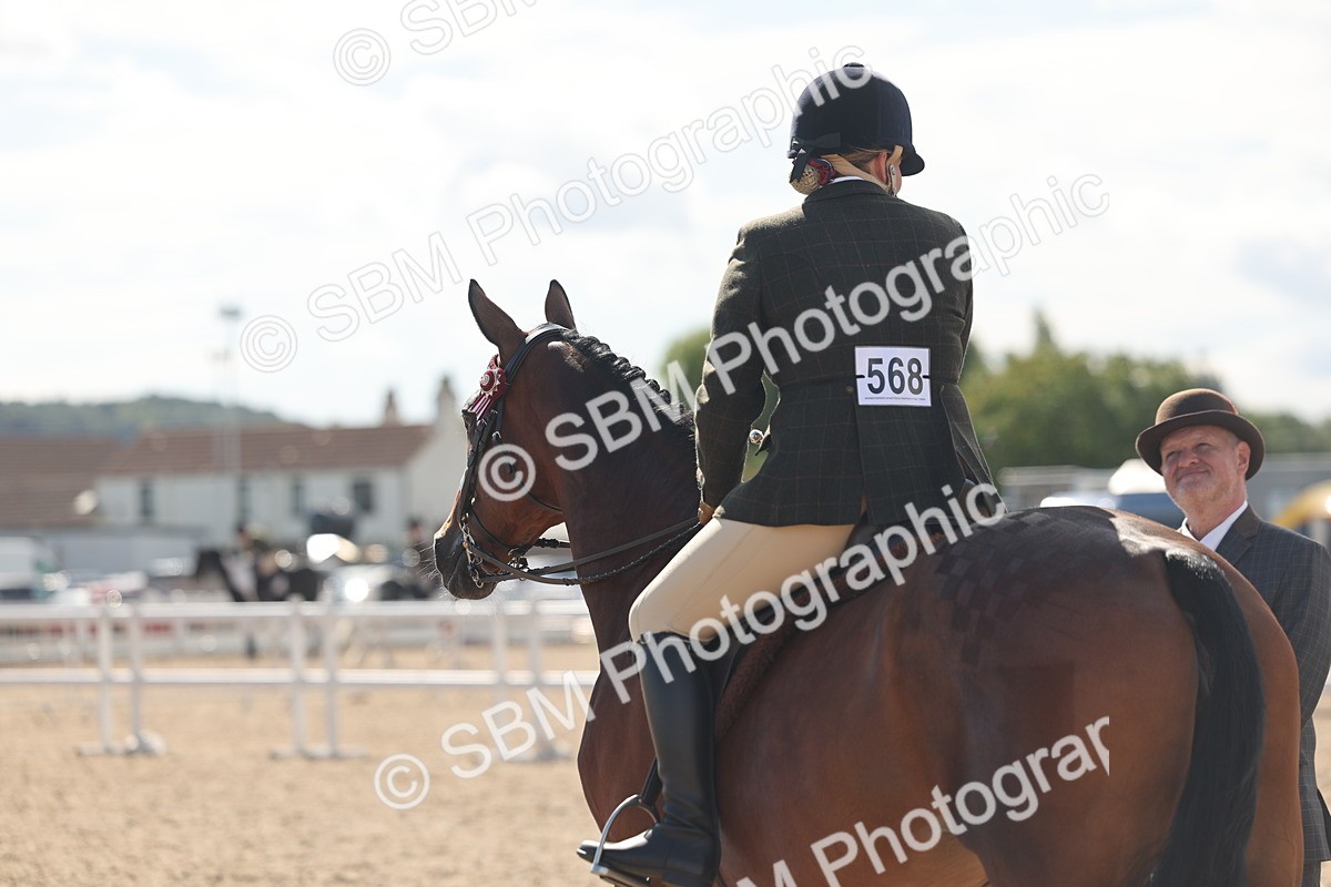 SBM_13189 - Class 306 - Ridden Foreign Breds - Part Bred