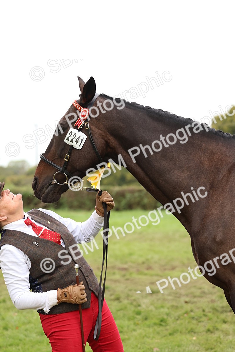 SBM_60006 - S36 - Rehabiliated Rescue Horse & Pony In Hand & Ridden
