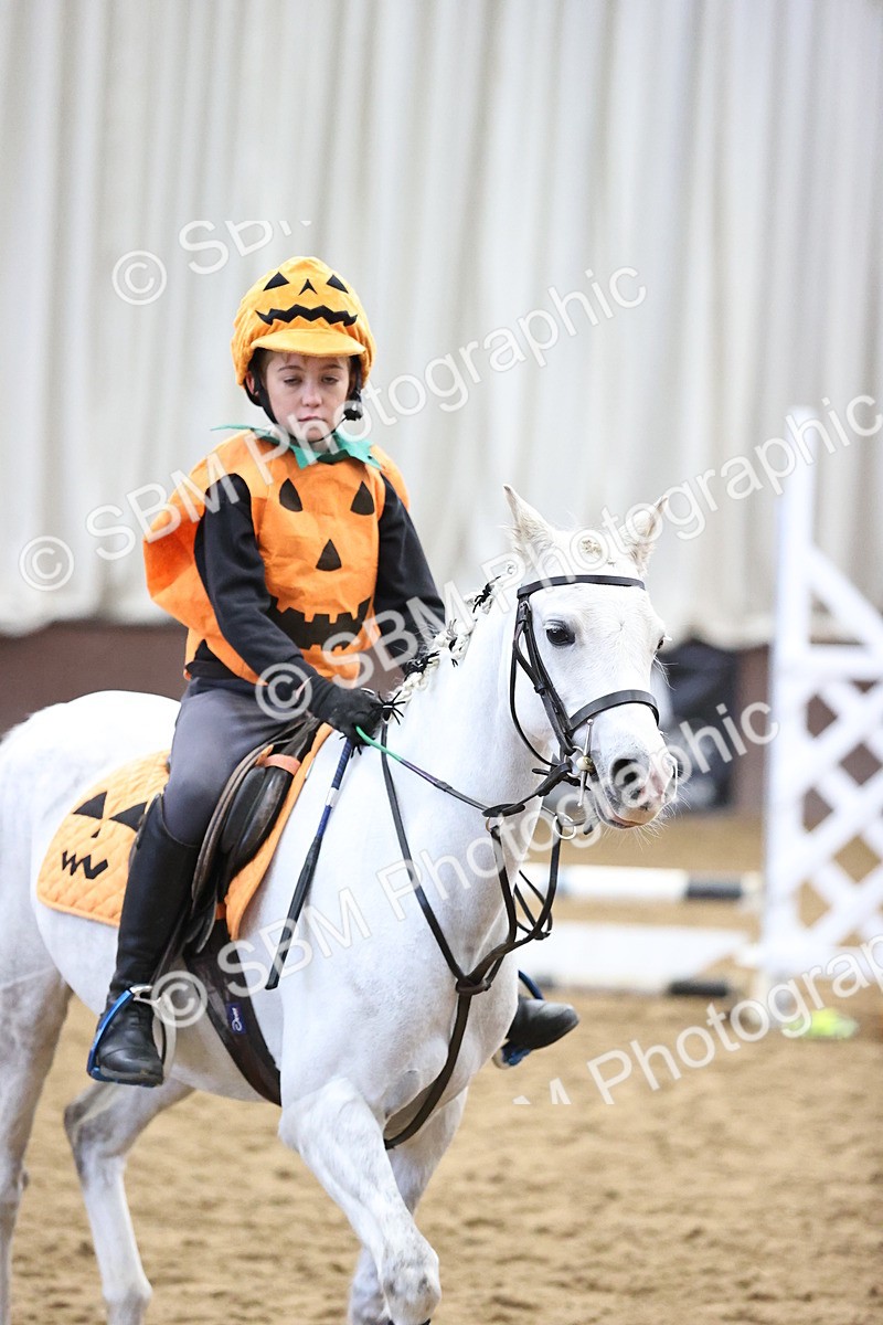 SBM_001353 - Class 3 - Horse & Hound 60cm