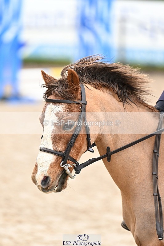 260222A-111536-00550 - 50cm All sections