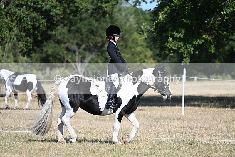 WJ7_9414 - Time 10:08 to 10:13