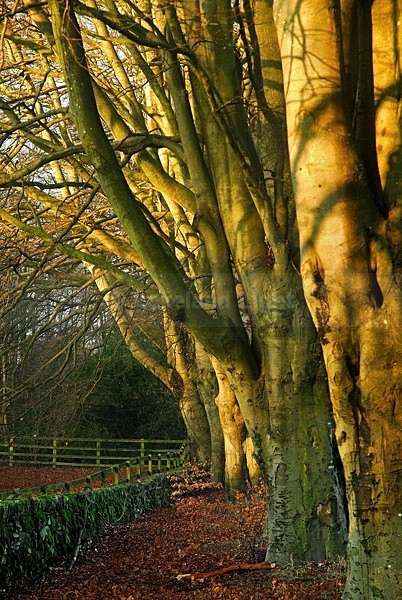lll0040 - South Lakes