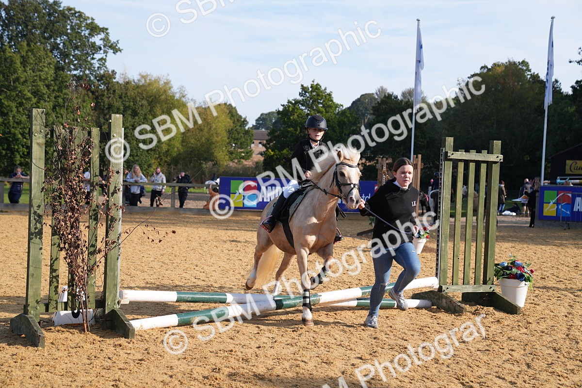 SBM_61241 - J1 - Mini Tour Junior Pony Lead Rein 30cm Championship