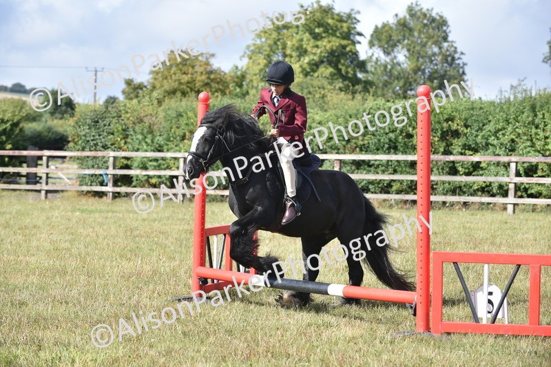 20250831-0440 - Class 7 - Absolute Novice 35cm