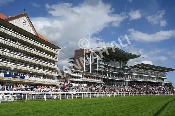 yr21052022r7-13 - Race 7: 5:15pm Reg Bond Always and Forever Stakes