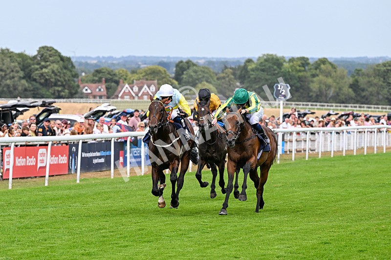 280726-Race 4-Vega King-0923 - Race 4 15.20pm 30 Years Of The Hurn Racing Club EBF Novice Stakes