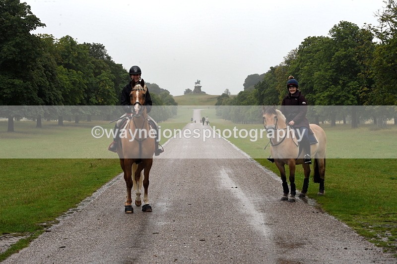 TT3_8561 - Time at Crossing 11:44 to 12:54