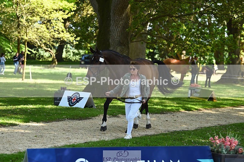 230524-154616-00486 - 369-GIDO_G-Sally_Chamberlain-WEDTrotUp+DR