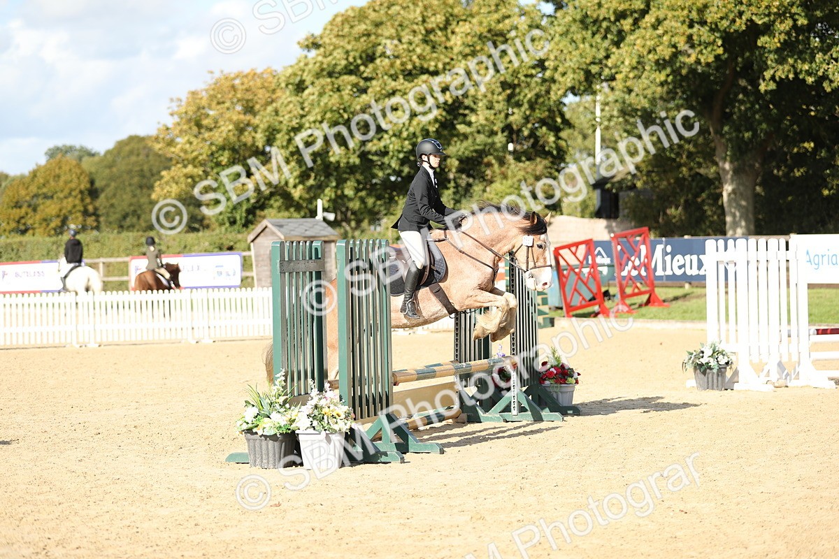 SBM_49583 - J22 - Junior Horse 65cm Championship