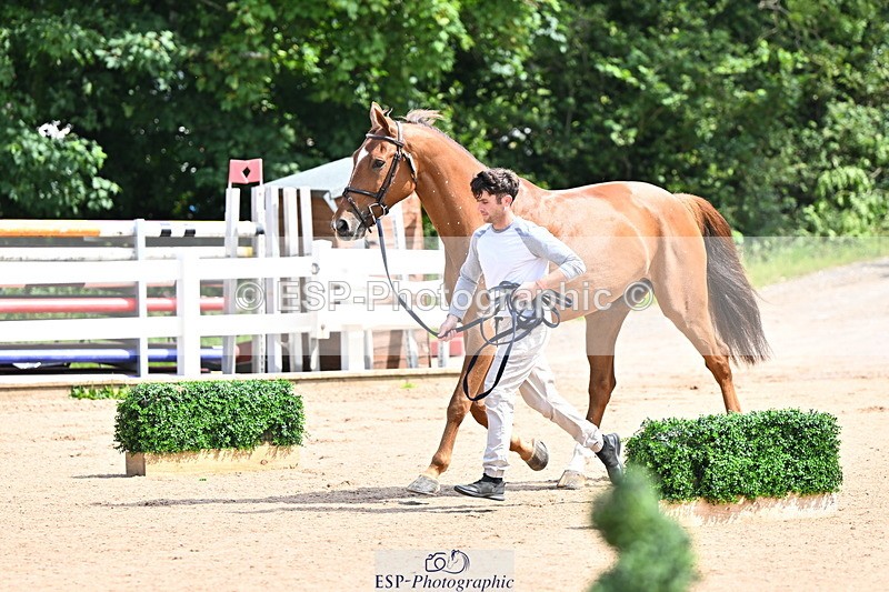 240718A-105236-00922 - Trot Up 11am to 12pm