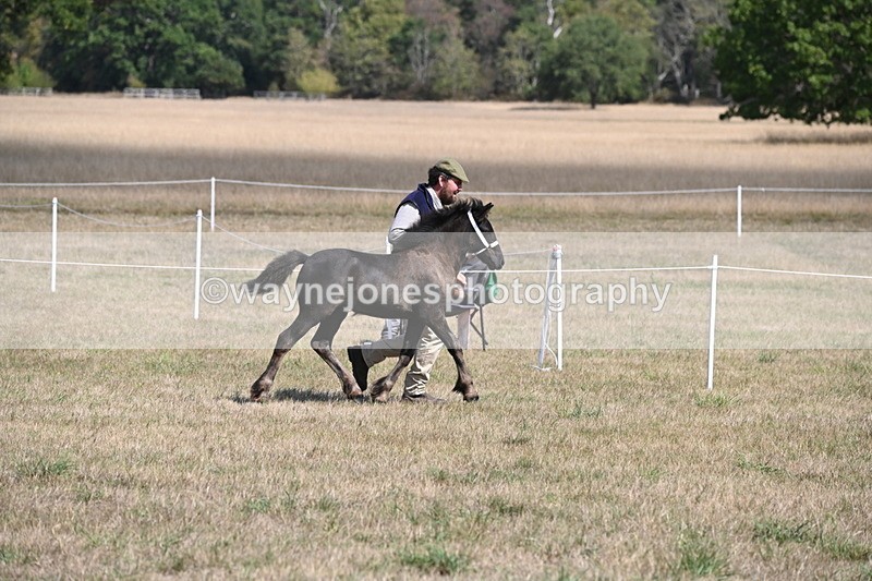 WJ6_5137 - Class 17 Mountain & Moorland