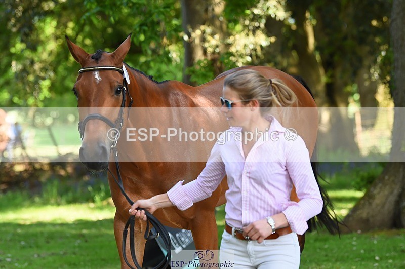 230524-163536-00970 - 182-HARTHILL_FLAMENCO-Izzy_Taylor-WEDTrotUp+DR