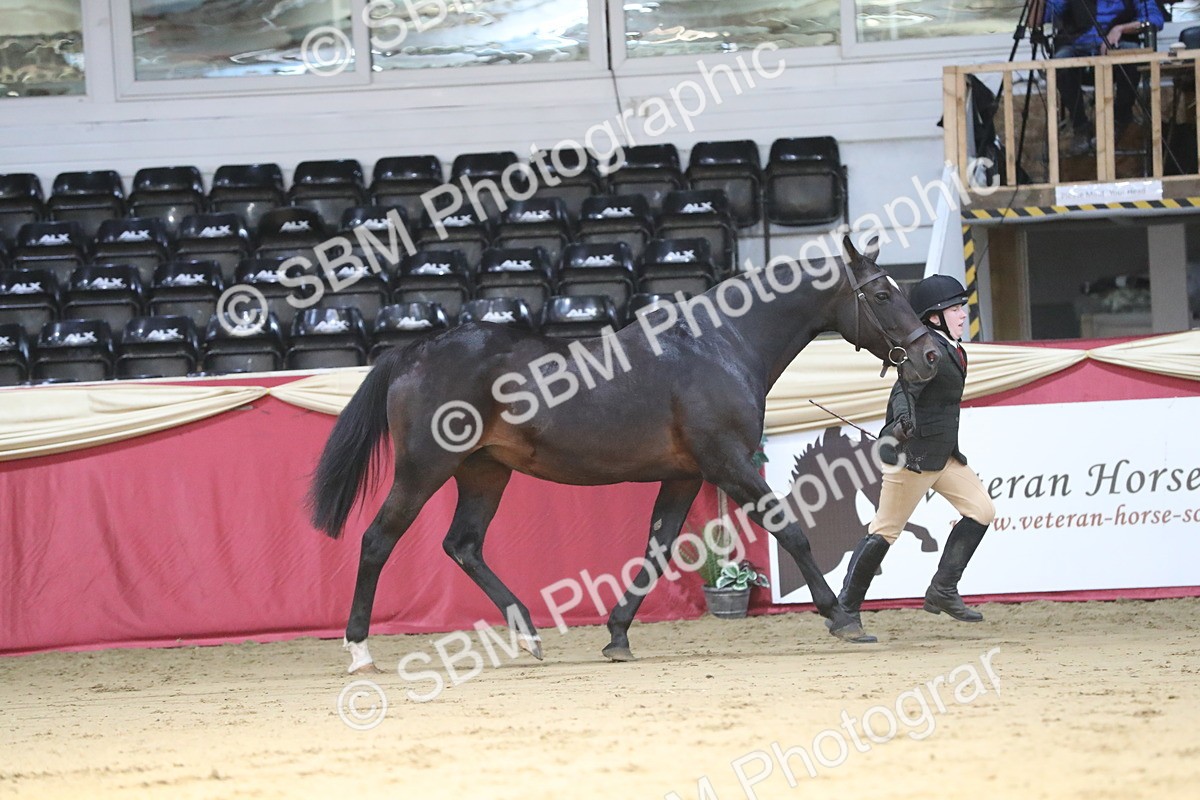 SBM_04367 - Class 7R Regional - IH Diamond