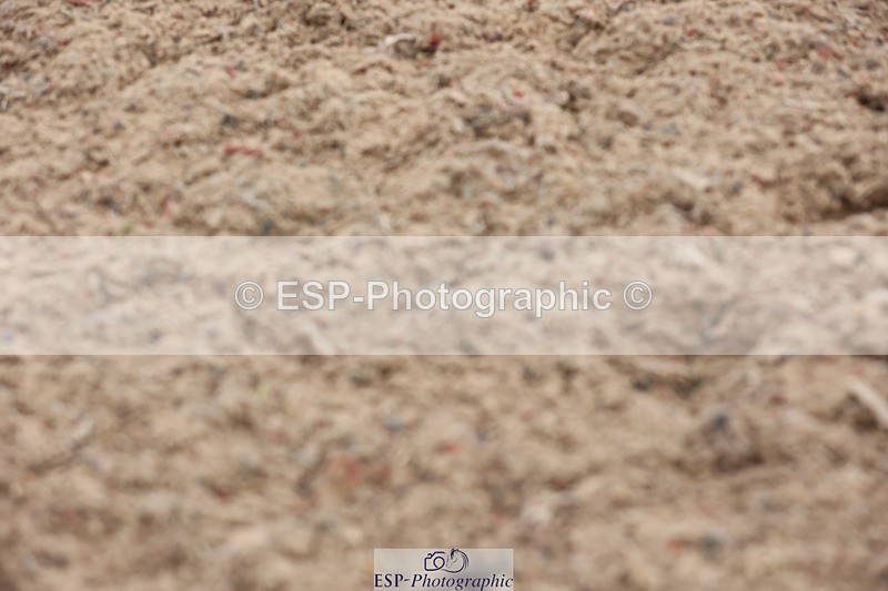 250620-084254-00076 - BD Cls 3 - Freestyle Preliminary