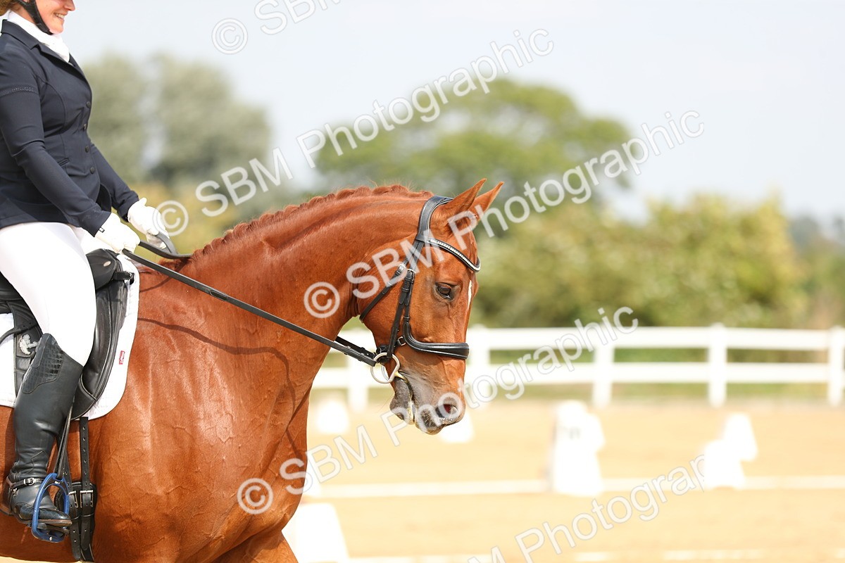 SBM_017287 - Class 13 - Novice 23 - 13.31-14.13