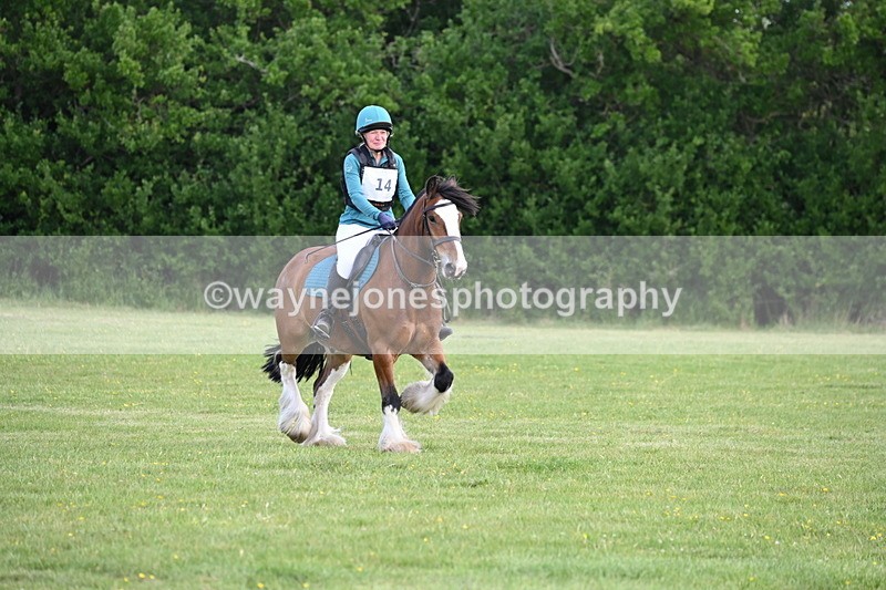 WJ6_2624 - Class 2 40cm