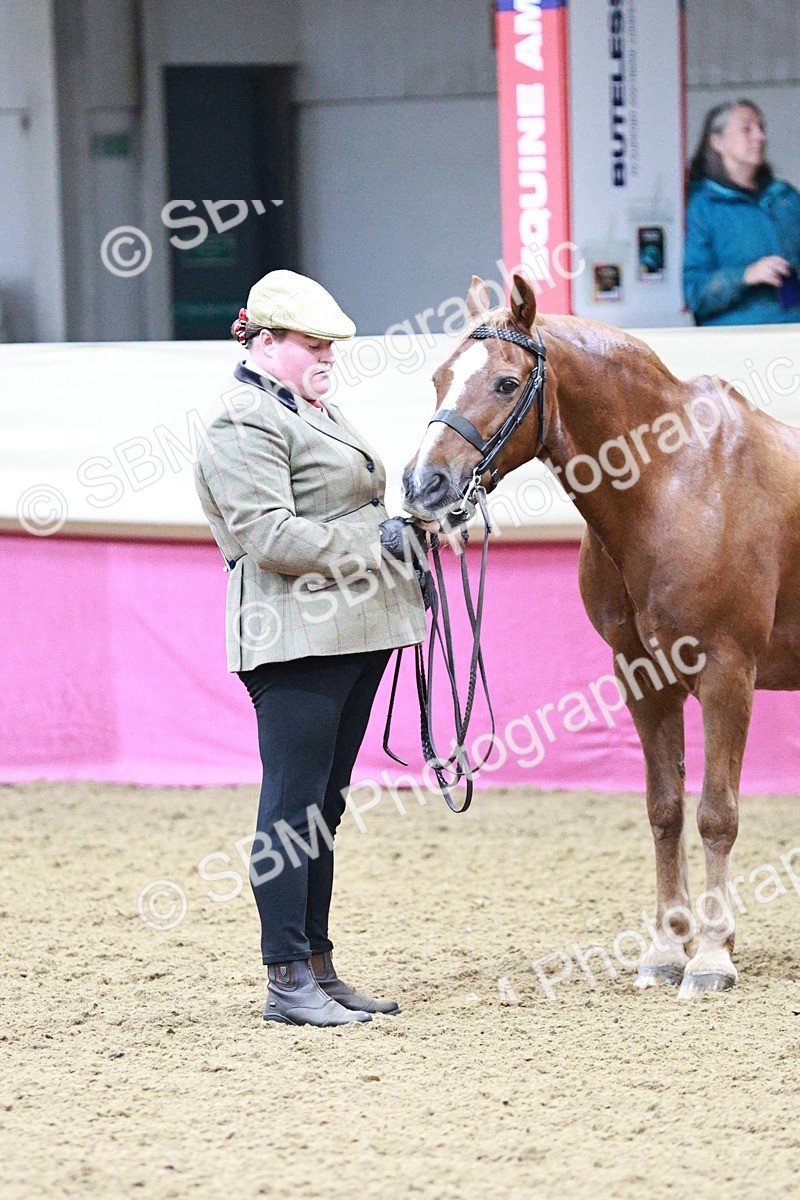 SBM_00217 - Class 1A - Area IH Diamond