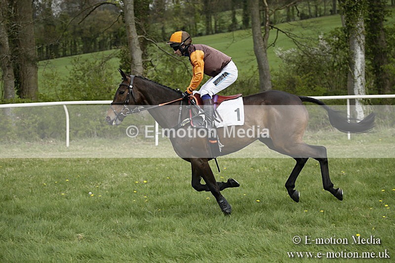 PtP 170417 155 - Old Berks Point-to-Point Lockinge 17/04/17