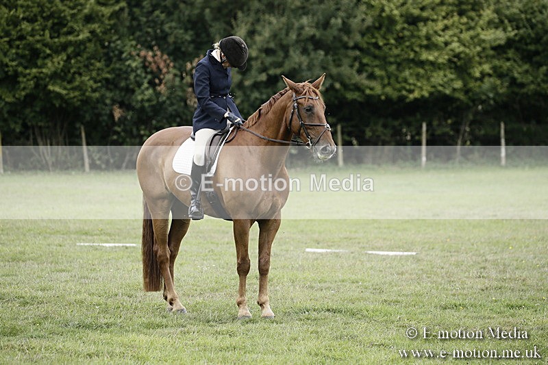 BVR090918 315 - BVRC Dressage and Show Jumping 09/09/18
