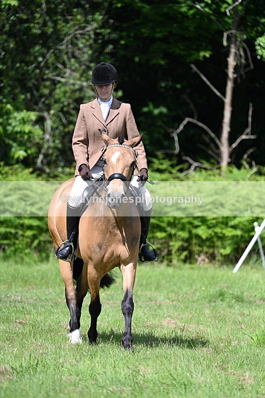WJ7_1161 - Class 11 Condition & Turnout