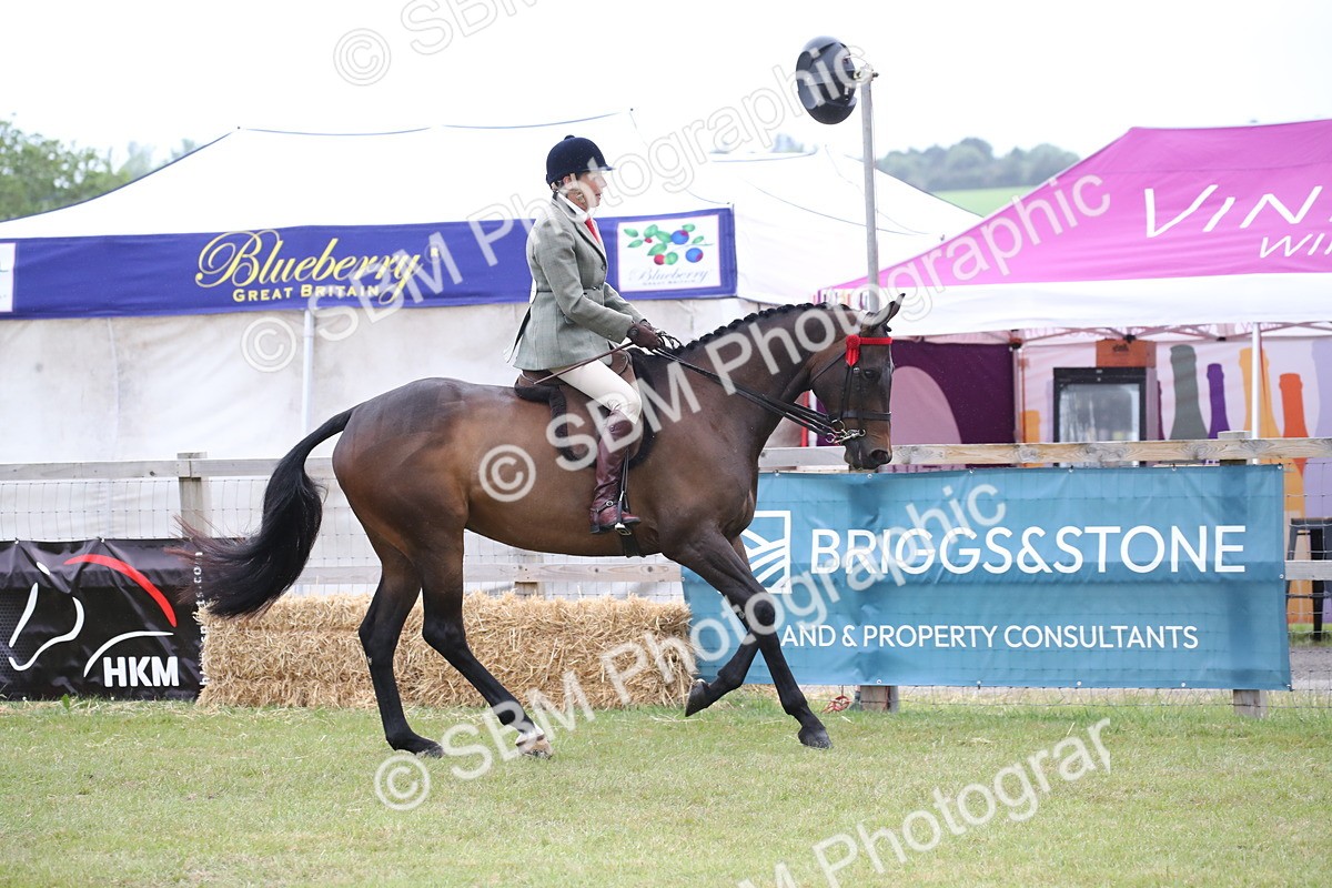 SBM_11433 - Class 94 - LIHS BSHA Racehorse to Showhorse