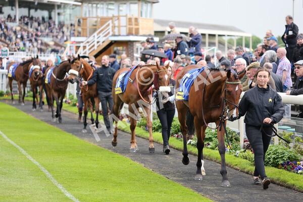 yr11052022r2-5 - Race 2 2.25pm Churchill Tyres Stakes